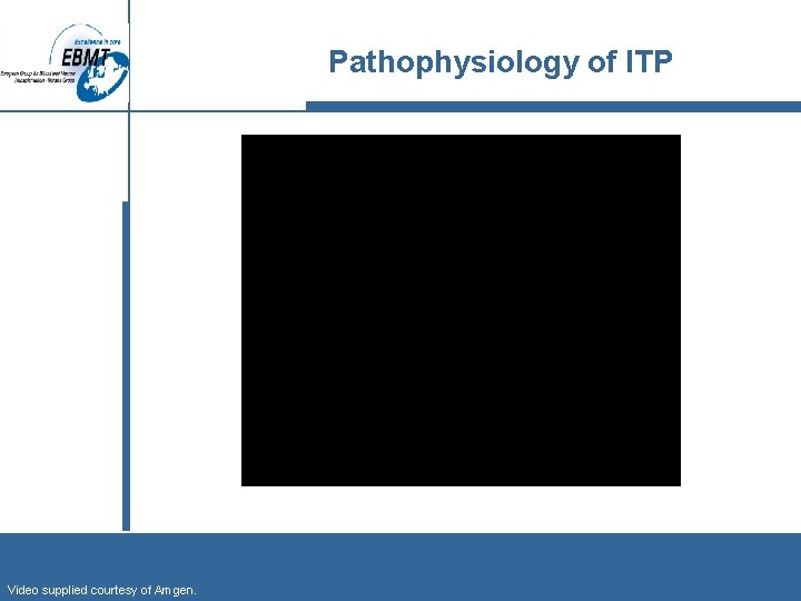 Pathophysiology of ITP Video supplied courtesy of Amgen. 