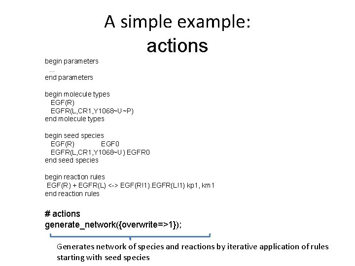 A simple example: actions begin parameters … end parameters begin molecule types EGF(R) EGFR(L,