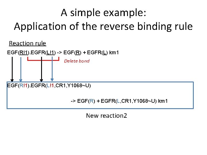 A simple example: Application of the reverse binding rule Reaction rule EGF(R!1). EGFR(L!1) ->