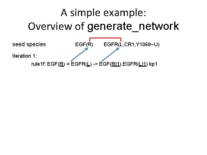 A simple example: Overview of generate_network seed species EGF(R) EGFR(L, CR 1, Y 1068~U)