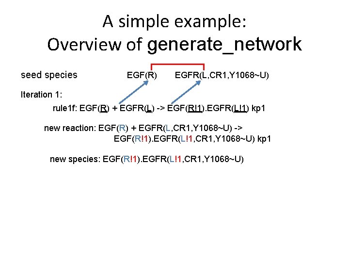 A simple example: Overview of generate_network seed species EGF(R) EGFR(L, CR 1, Y 1068~U)