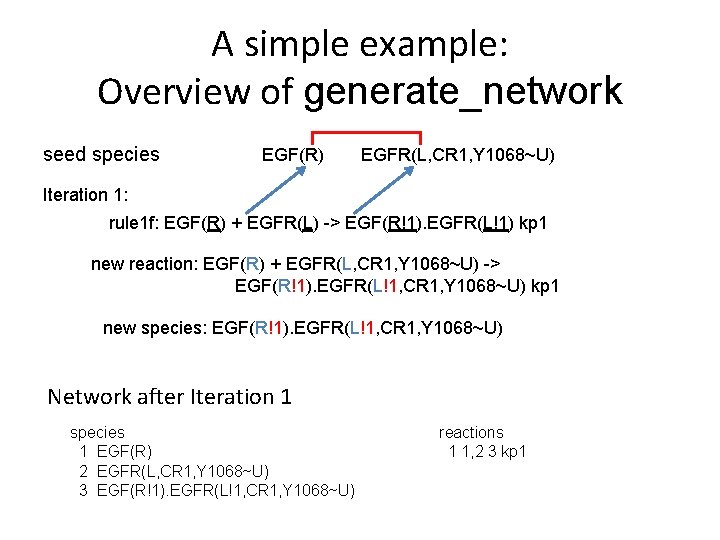 A simple example: Overview of generate_network seed species EGF(R) EGFR(L, CR 1, Y 1068~U)