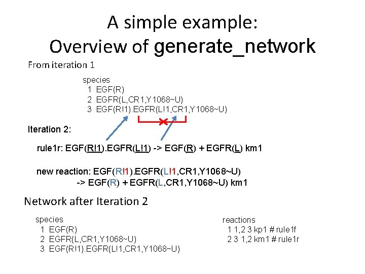 A simple example: Overview of generate_network From iteration 1 species 1 EGF(R) 2 EGFR(L,