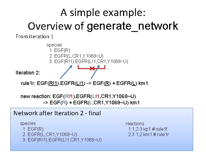 A simple example: Overview of generate_network From iteration 1 species 1 EGF(R) 2 EGFR(L,