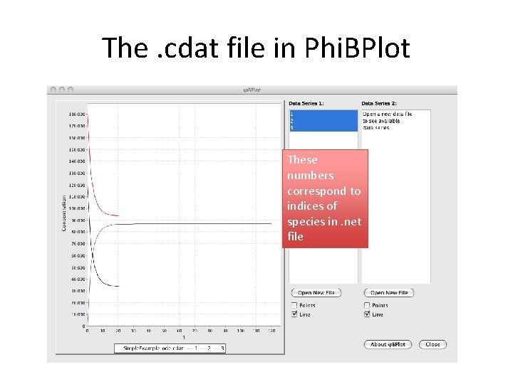 The. cdat file in Phi. BPlot These numbers correspond to indices of species in.