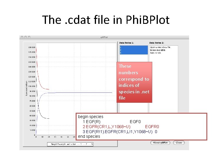 The. cdat file in Phi. BPlot These numbers correspond to indices of species in.