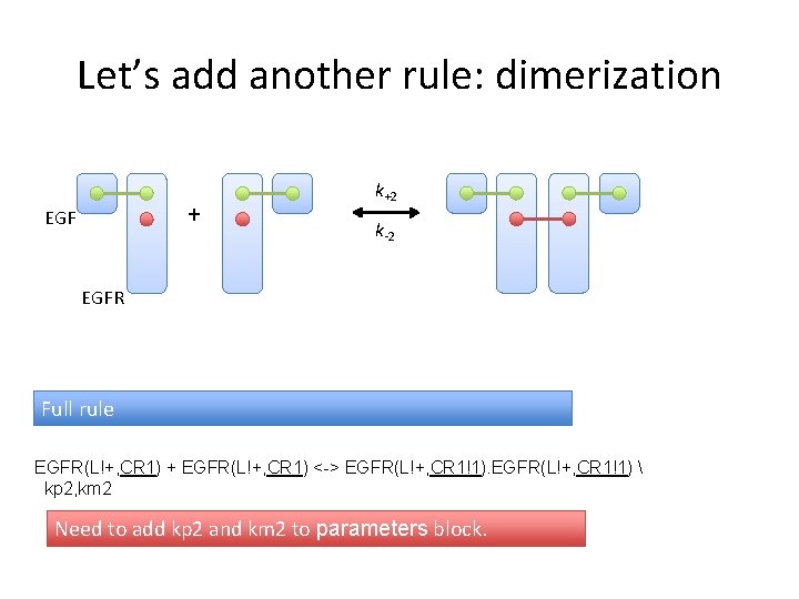 Let’s add another rule: dimerization + EGF k+2 k-2 EGFR Full rule EGFR(L!+, CR