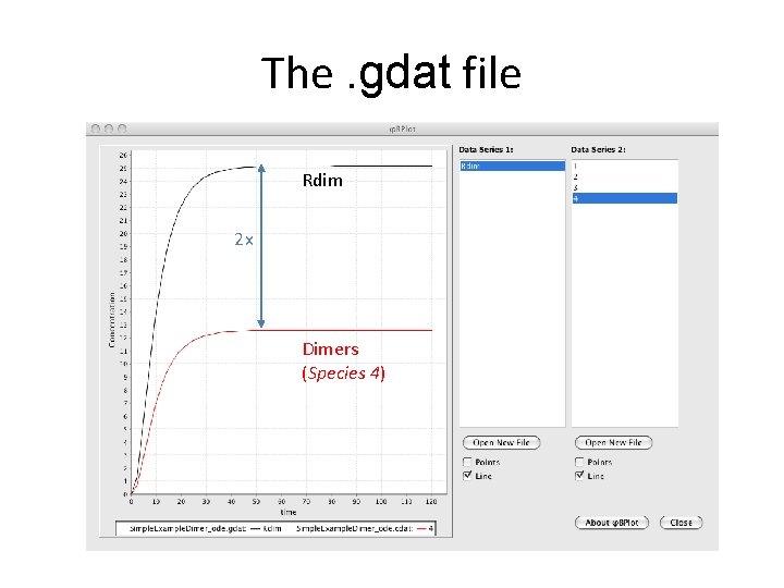 The. gdat file Rdim 2 x Dimers (Species 4) 