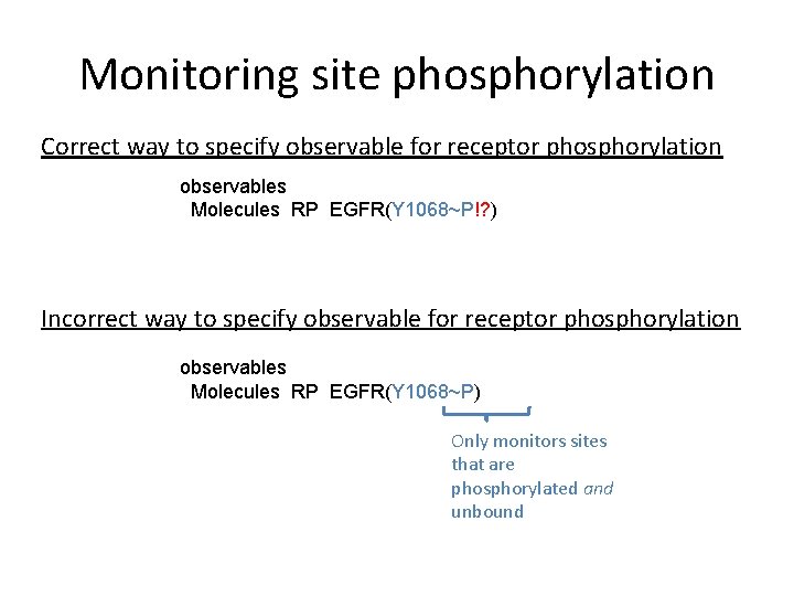 Monitoring site phosphorylation Correct way to specify observable for receptor phosphorylation observables Molecules RP