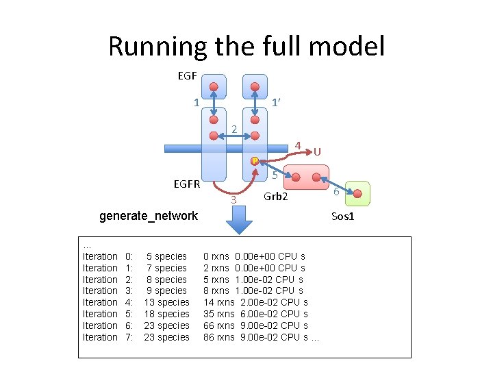 Running the full model EGF 1 1’ 2 4 U P 5 EGFR 3