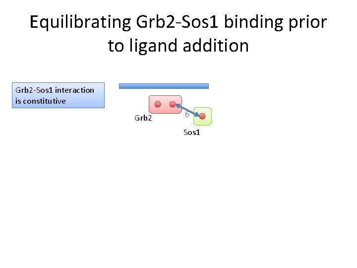 Equilibrating Grb 2 -Sos 1 binding prior to ligand addition Grb 2 -Sos 1