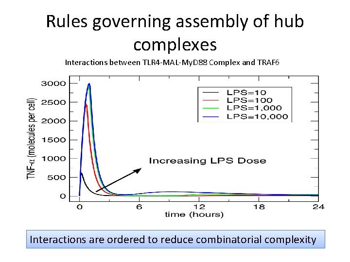 Rules governing assembly of hub complexes Interactions between TLR 4 -MAL-My. D 88 Complex