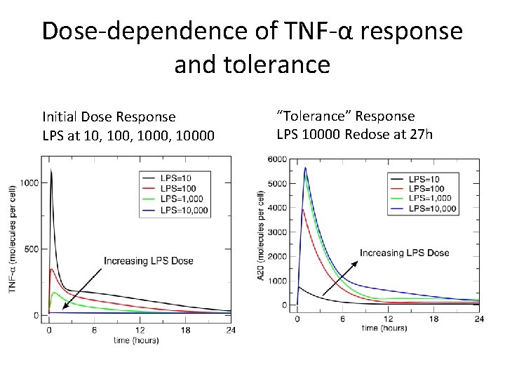 Dose-dependence of TNF-α response and tolerance Initial Dose Response LPS at 10, 1000, 10000