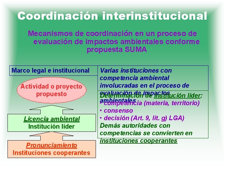 Coordinación interinstitucional Mecanismos de coordinación en un proceso de evaluación de impactos ambientales conforme