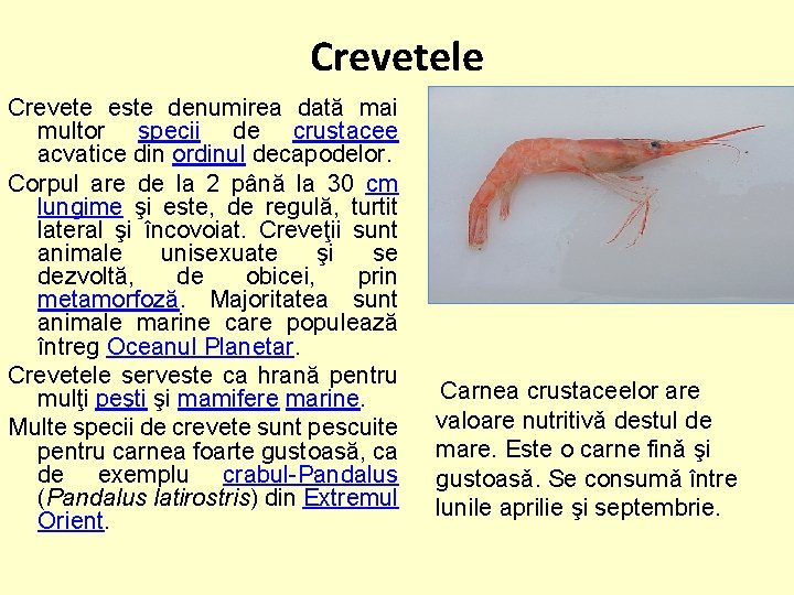  Crevetele Crevete este denumirea dată mai multor specii de crustacee acvatice din ordinul