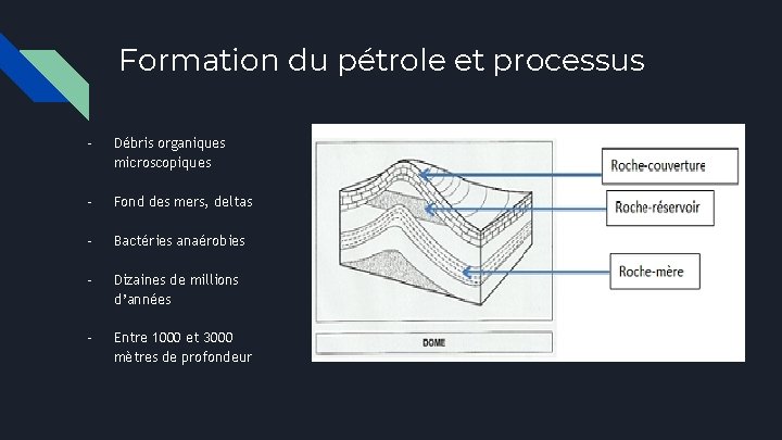 Formation du pétrole et processus - Débris organiques microscopiques - Fond des mers, deltas