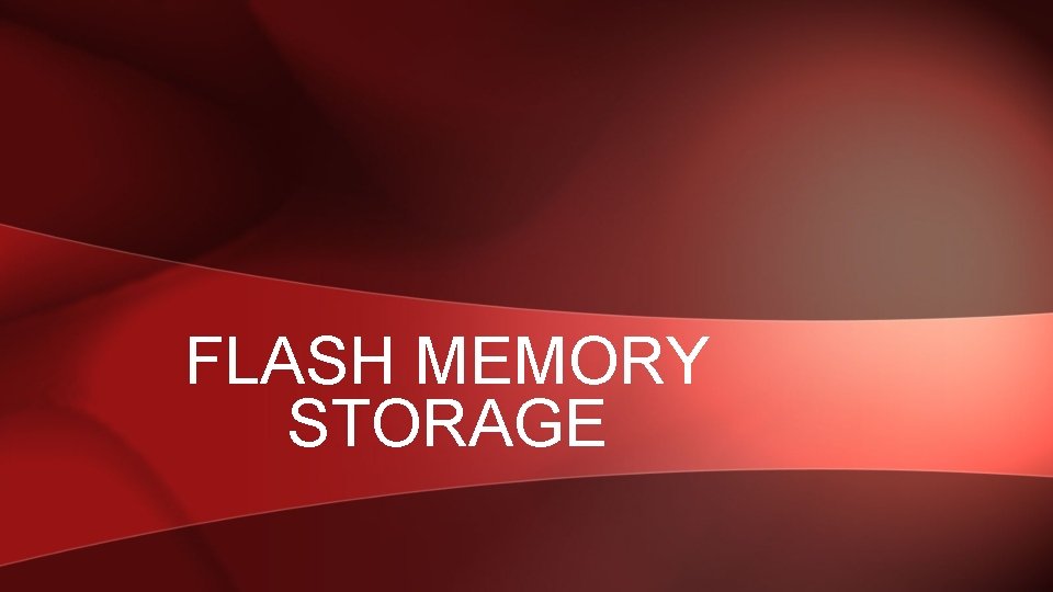FLASH MEMORY STORAGE 