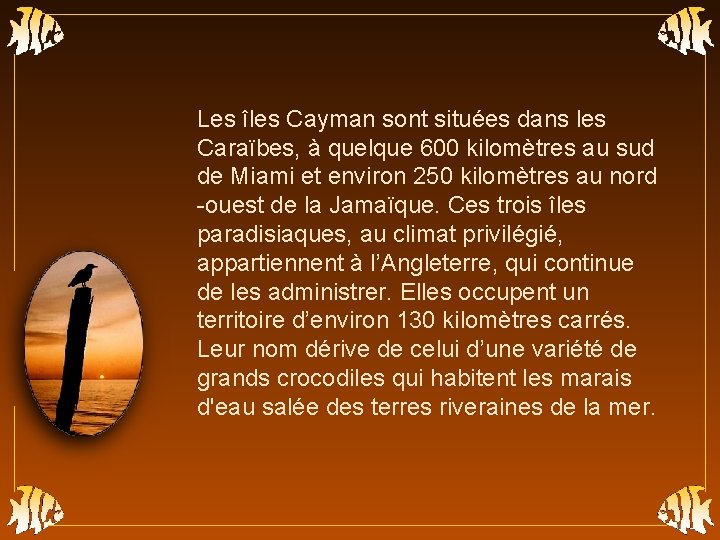 Les îles Cayman sont situées dans les Caraïbes, à quelque 600 kilomètres au sud