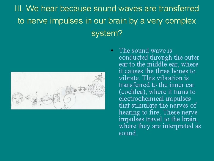 III. We hear because sound waves are transferred to nerve impulses in our brain