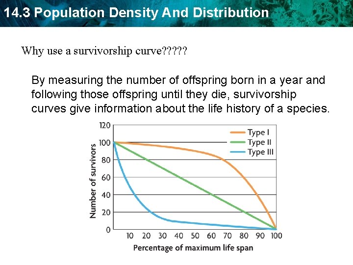 14. 3 Population Density And Distribution Why use a survivorship curve? ? ? By