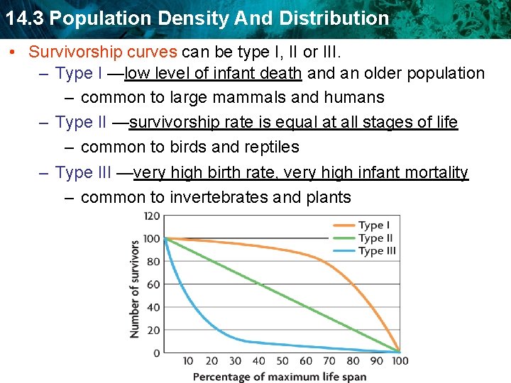 14. 3 Population Density And Distribution • Survivorship curves can be type I, II