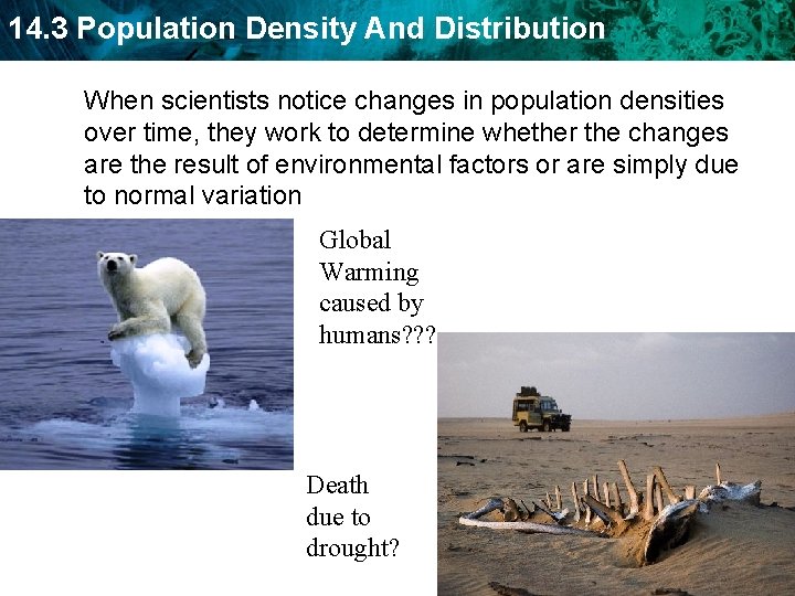 14. 3 Population Density And Distribution When scientists notice changes in population densities over