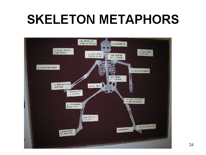 SKELETON METAPHORS 24 