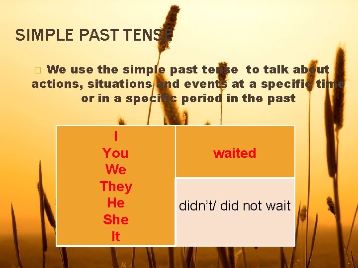 SIMPLE PAST TENSE We use the simple past tense to talk about actions, situations