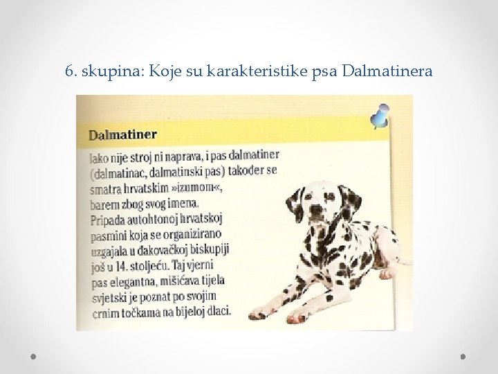 6. skupina: Koje su karakteristike psa Dalmatinera 