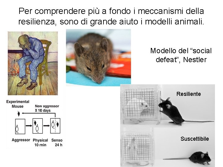 Per comprendere più a fondo i meccanismi della resilienza, sono di grande aiuto i