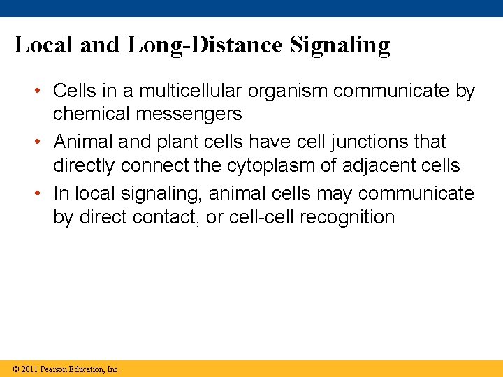 Local and Long-Distance Signaling • Cells in a multicellular organism communicate by chemical messengers