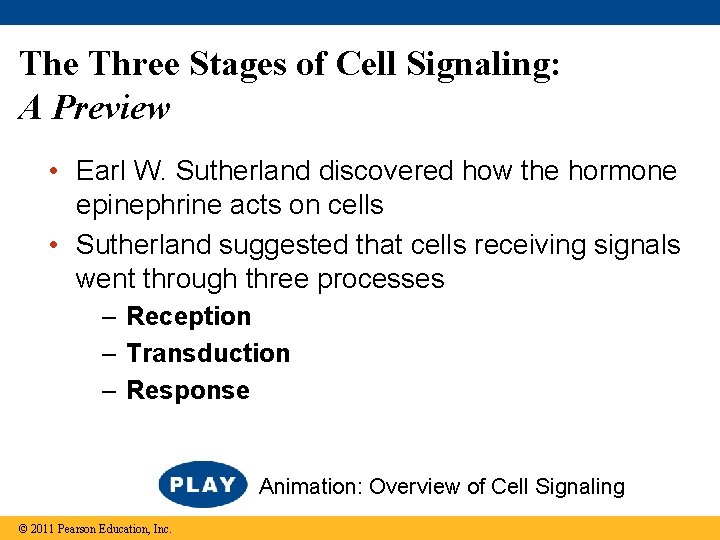 The Three Stages of Cell Signaling: A Preview • Earl W. Sutherland discovered how
