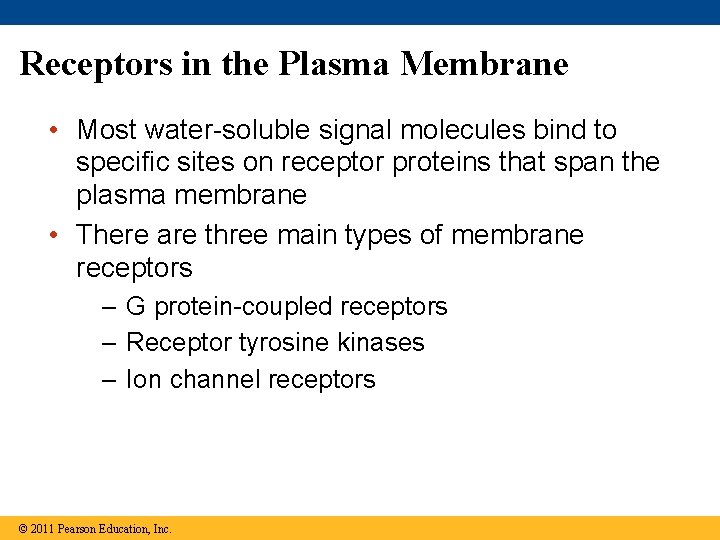 Receptors in the Plasma Membrane • Most water-soluble signal molecules bind to specific sites