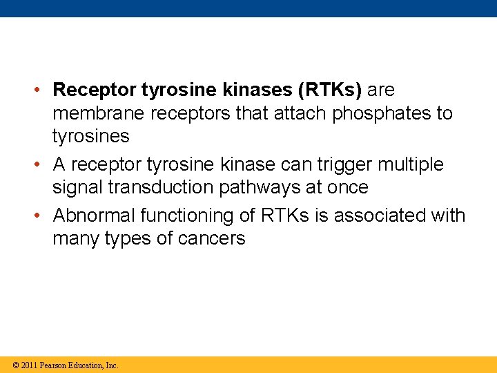  • Receptor tyrosine kinases (RTKs) are membrane receptors that attach phosphates to tyrosines