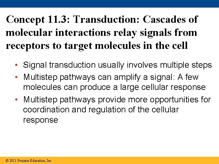 Concept 11. 3: Transduction: Cascades of molecular interactions relay signals from receptors to target