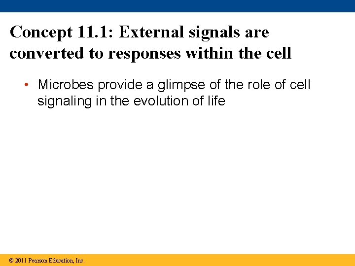 Concept 11. 1: External signals are converted to responses within the cell • Microbes