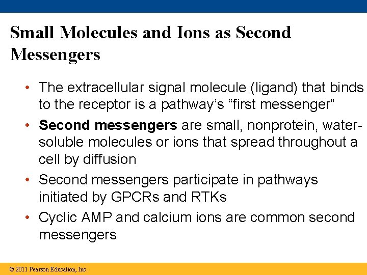 Small Molecules and Ions as Second Messengers • The extracellular signal molecule (ligand) that