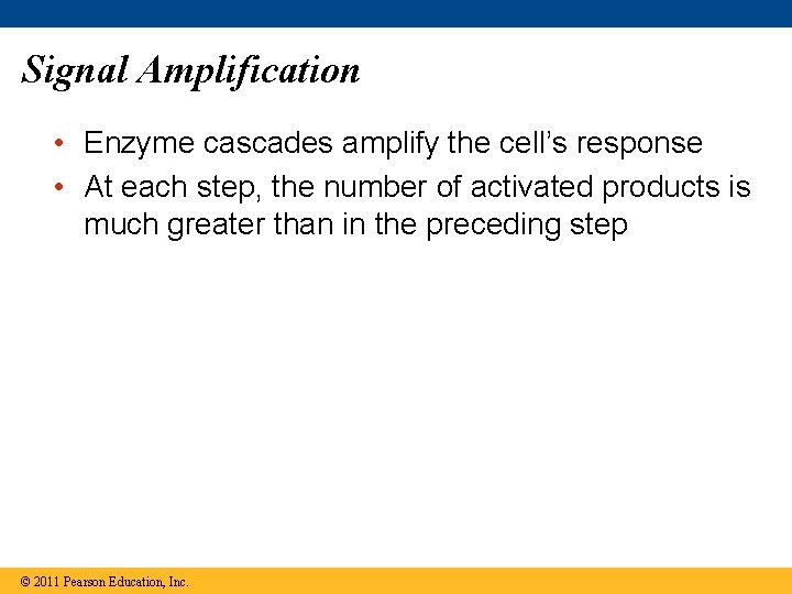 Signal Amplification • Enzyme cascades amplify the cell’s response • At each step, the