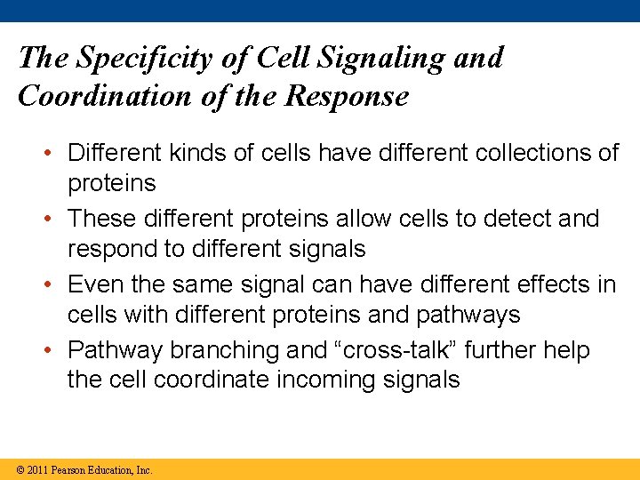 The Specificity of Cell Signaling and Coordination of the Response • Different kinds of