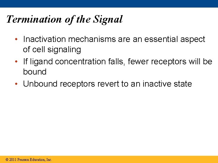Termination of the Signal • Inactivation mechanisms are an essential aspect of cell signaling