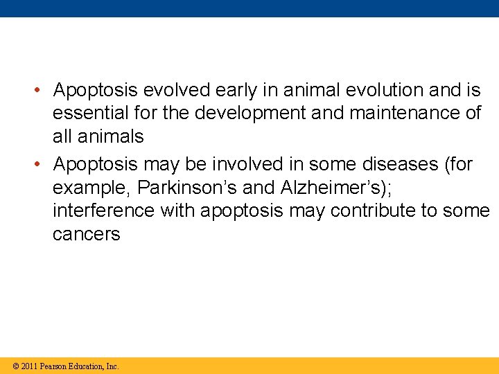  • Apoptosis evolved early in animal evolution and is essential for the development