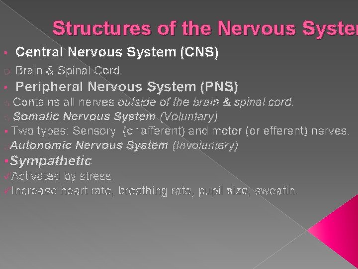 Structures of the Nervous System • Central Nervous System (CNS) o Brain & Spinal