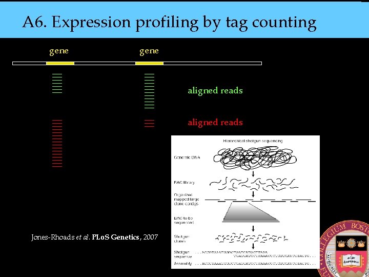 A 6. Expression profiling by tag counting gene aligned reads Jones-Rhoads et al. PLo.