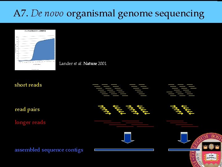 A 7. De novo organismal genome sequencing Lander et al. Nature 2001 short reads