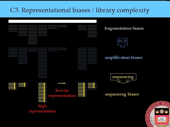 C 3. Representational biases / library complexity fragmentation biases PCR amplification biases sequencing low/no
