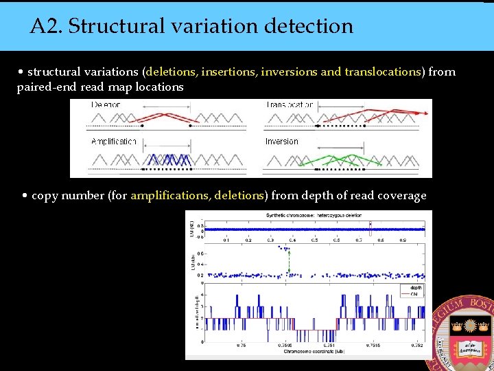 A 2. Structural variation detection • structural variations (deletions, insertions, inversions and translocations) from