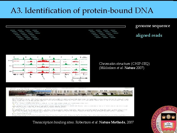 A 3. Identification of protein-bound DNA genome sequence aligned reads Chromatin structure (CHIP-SEQ) (Mikkelsen