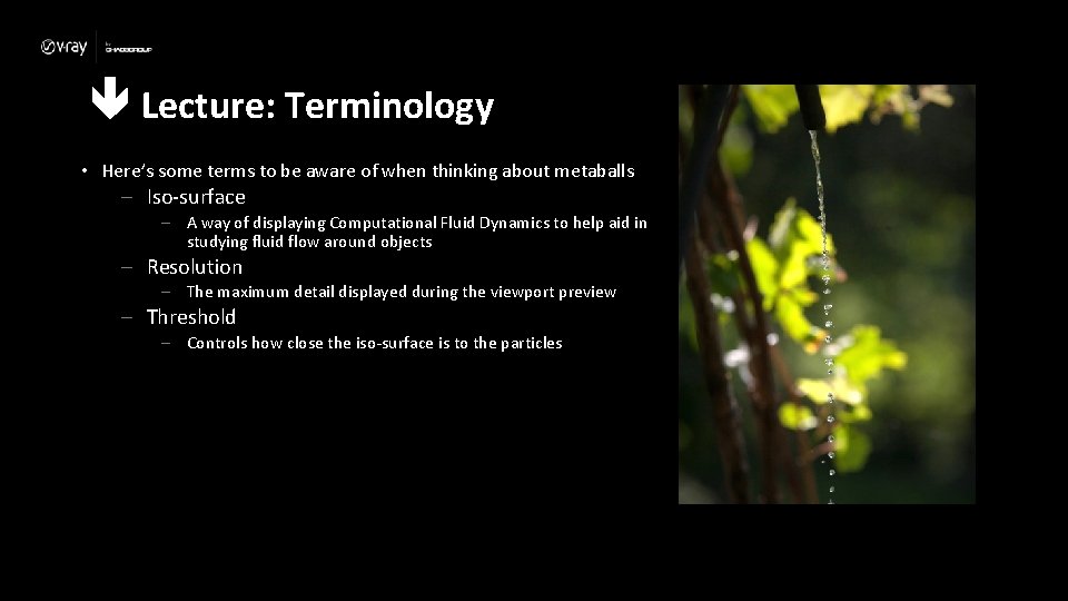  Lecture: Terminology • Here’s some terms to be aware of when thinking about