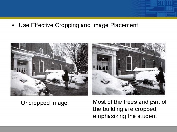  • Use Effective Cropping and Image Placement Uncropped image Most of the trees