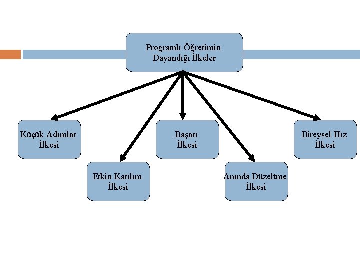 Programlı Öğretimin Dayandığı İlkeler Küçük Adımlar İlkesi Başarı İlkesi Etkin Katılım İlkesi Bireysel Hız